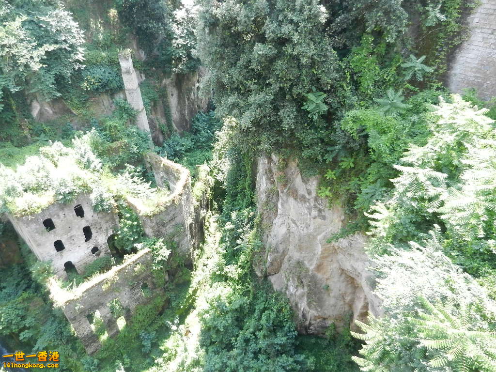 DSCN6569.JPG