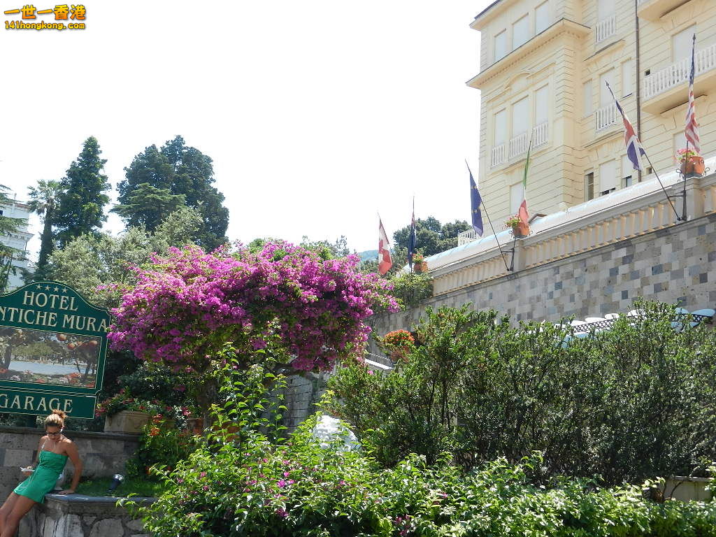 DSCN6559.JPG