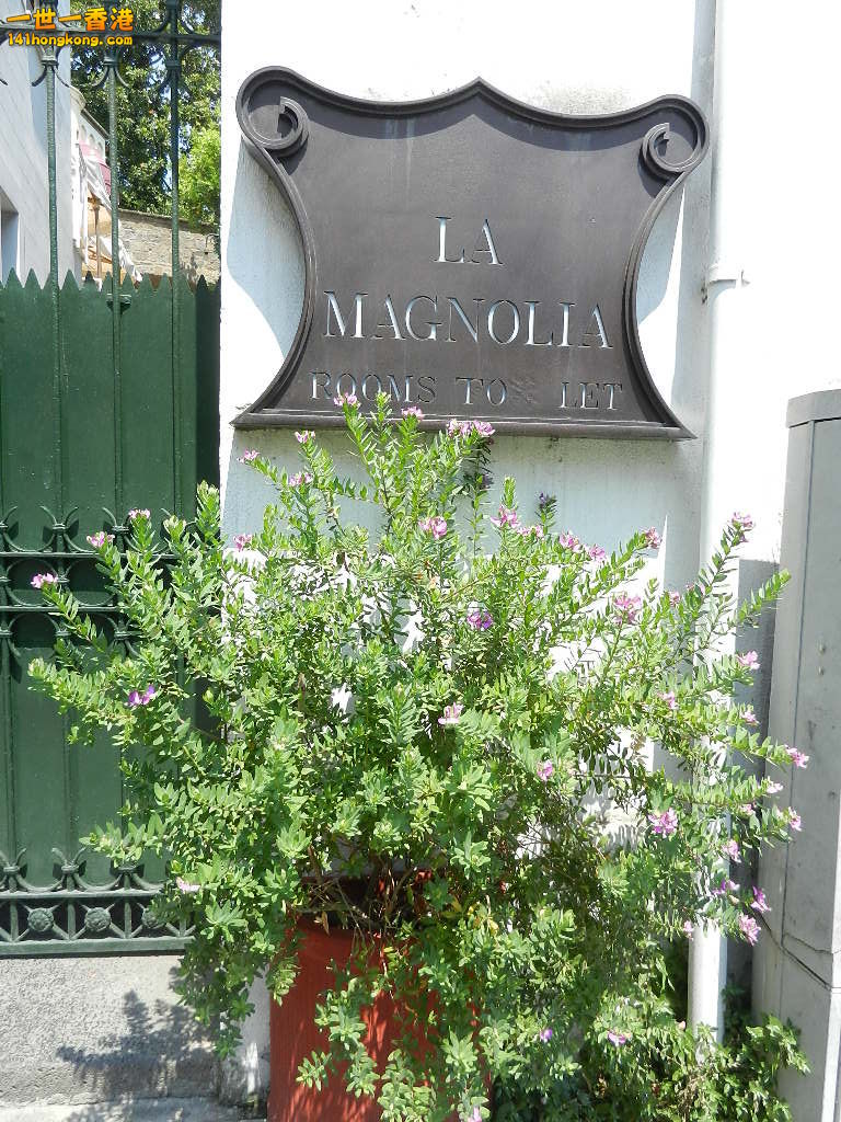 DSCN6574.JPG