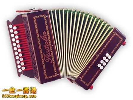 鍵鈕式手風琴.jpg
