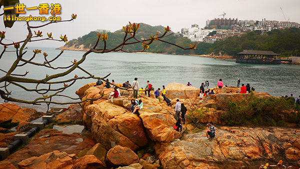 P1050030.JPG