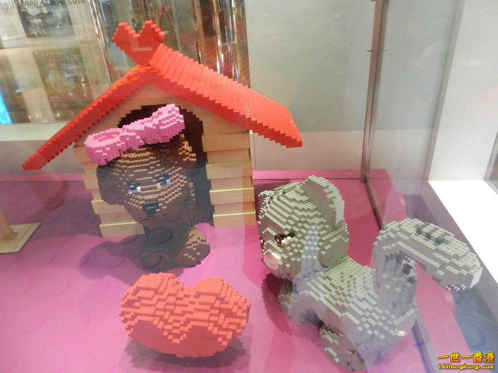 DSCN8475.JPG