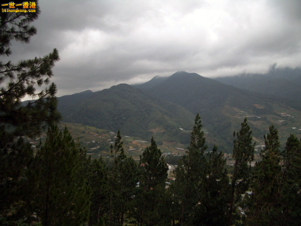 IMGP1308.JPG