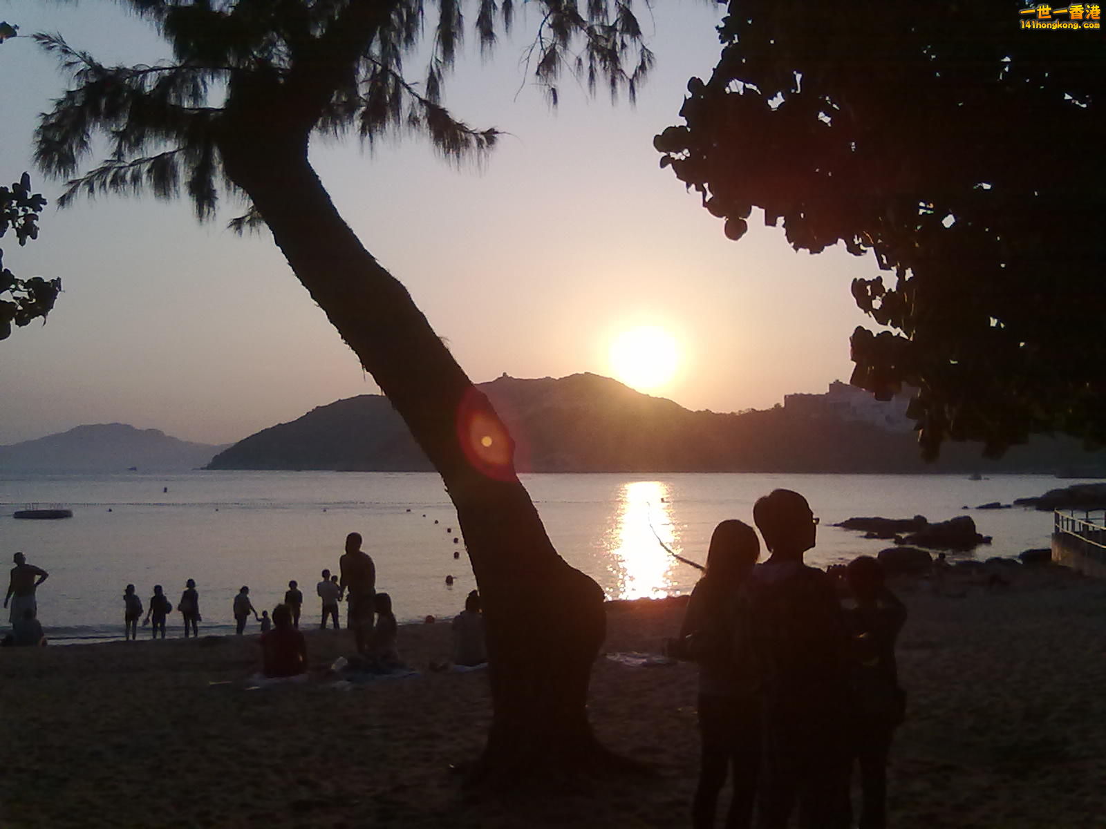20100316216.jpg