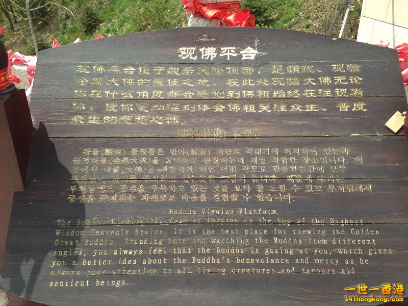 483.JPG