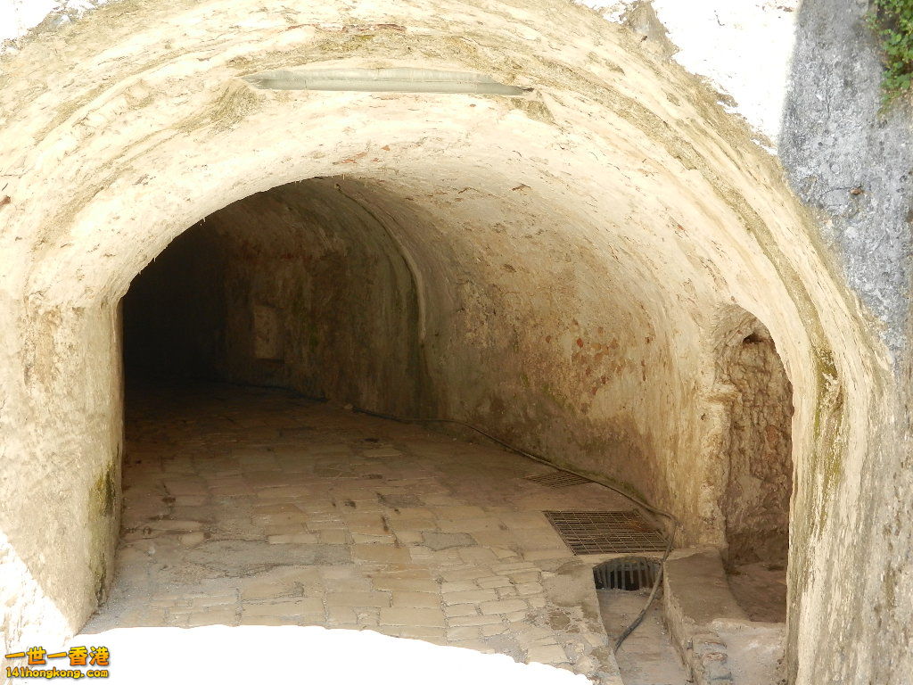 DSCN7011.JPG