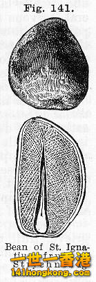 kings-strychnos.jpg