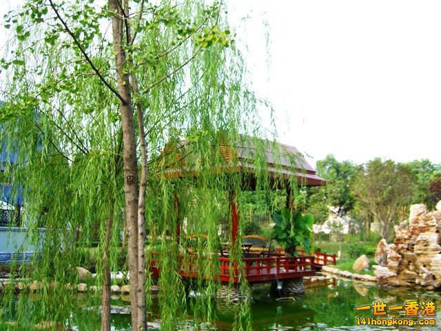 photo.jpg