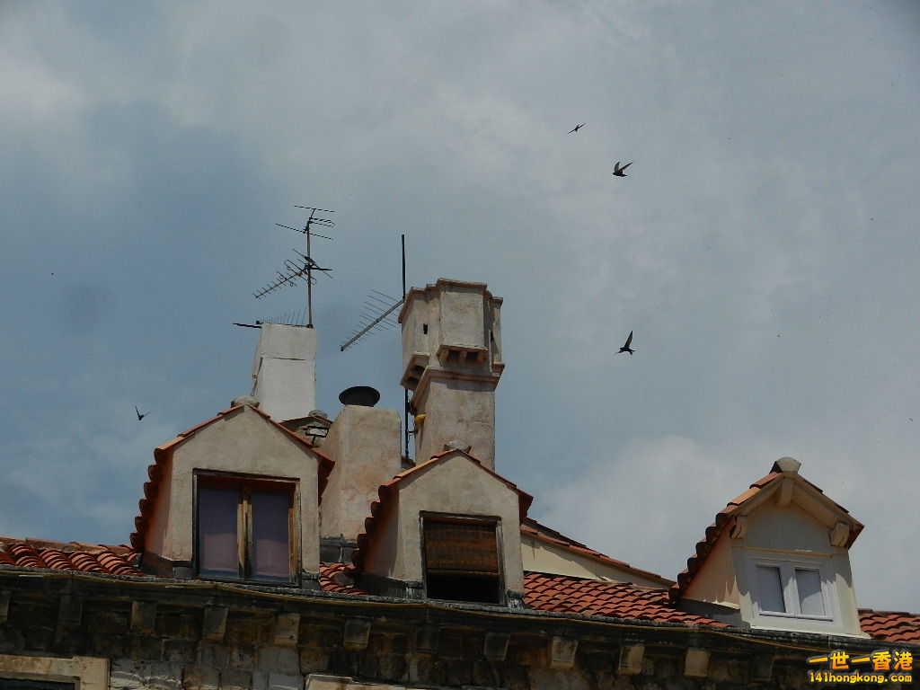 DSCN7642.JPG