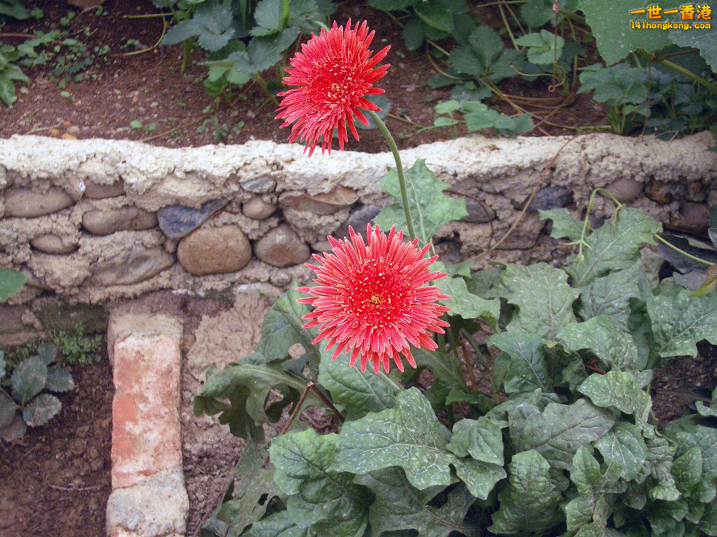 IMGP1298.JPG