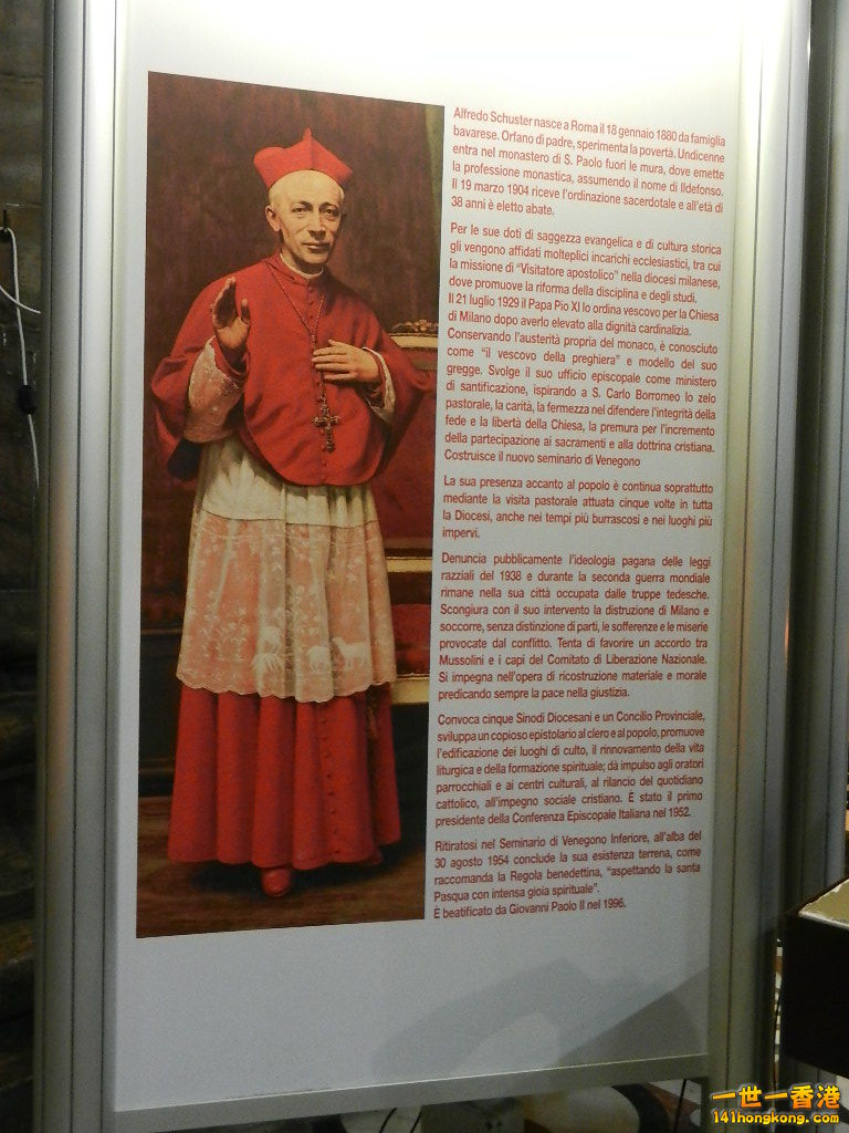 DSCN8113.JPG