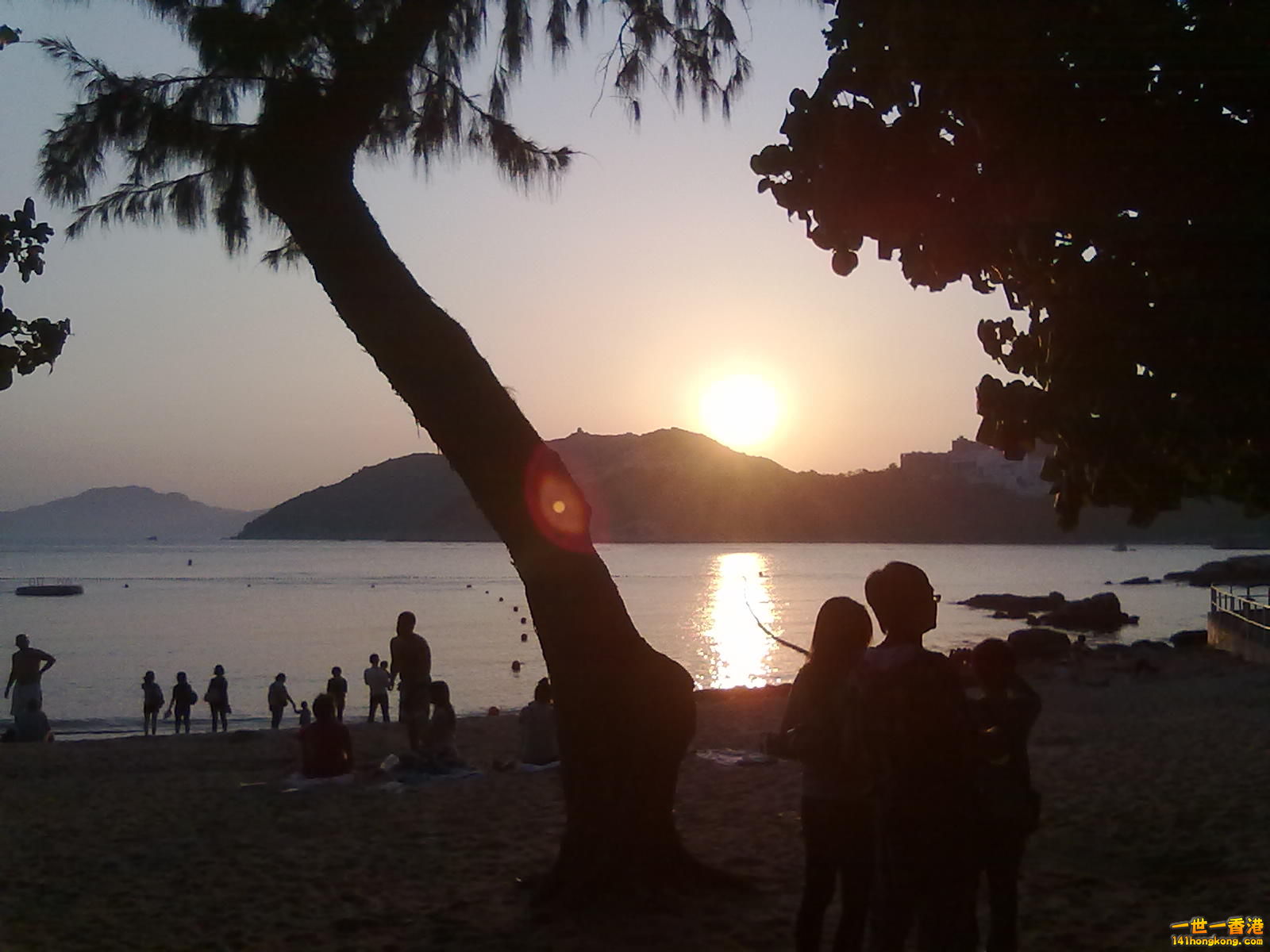 20100316216.jpg