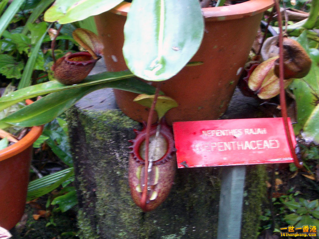 IMGP1333.JPG