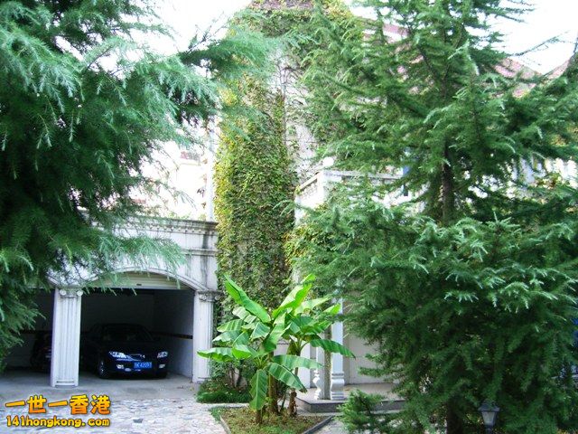 photo.jpg