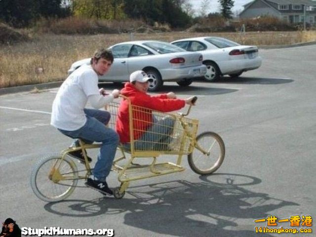 cool-cart-bike-stupid-human-1364983373.jpg