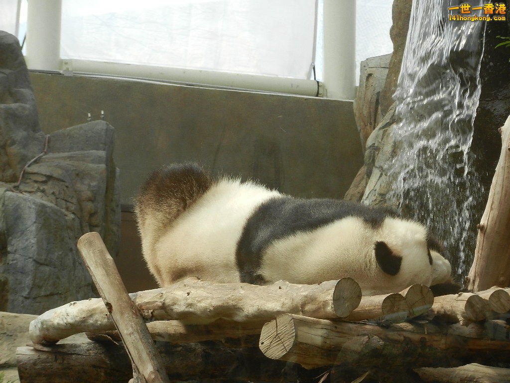 DSCN8557.JPG