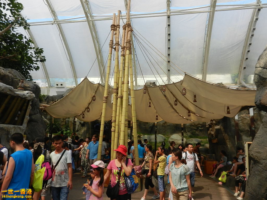 DSCN8558.JPG