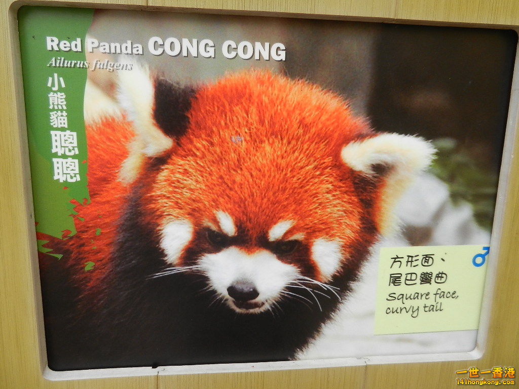 DSCN8561.JPG