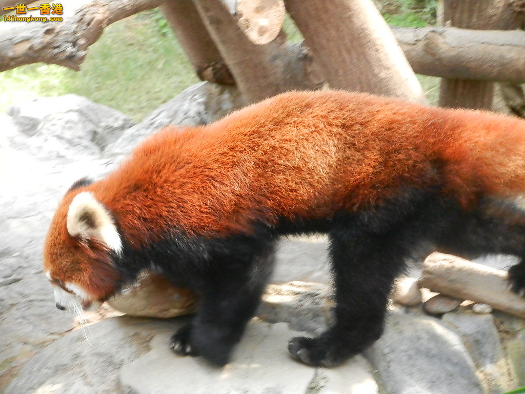 DSCN8566.JPG