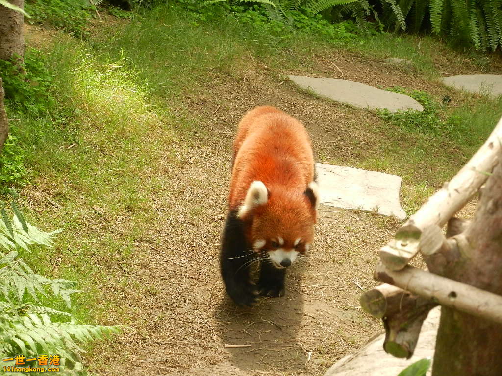DSCN8567.JPG