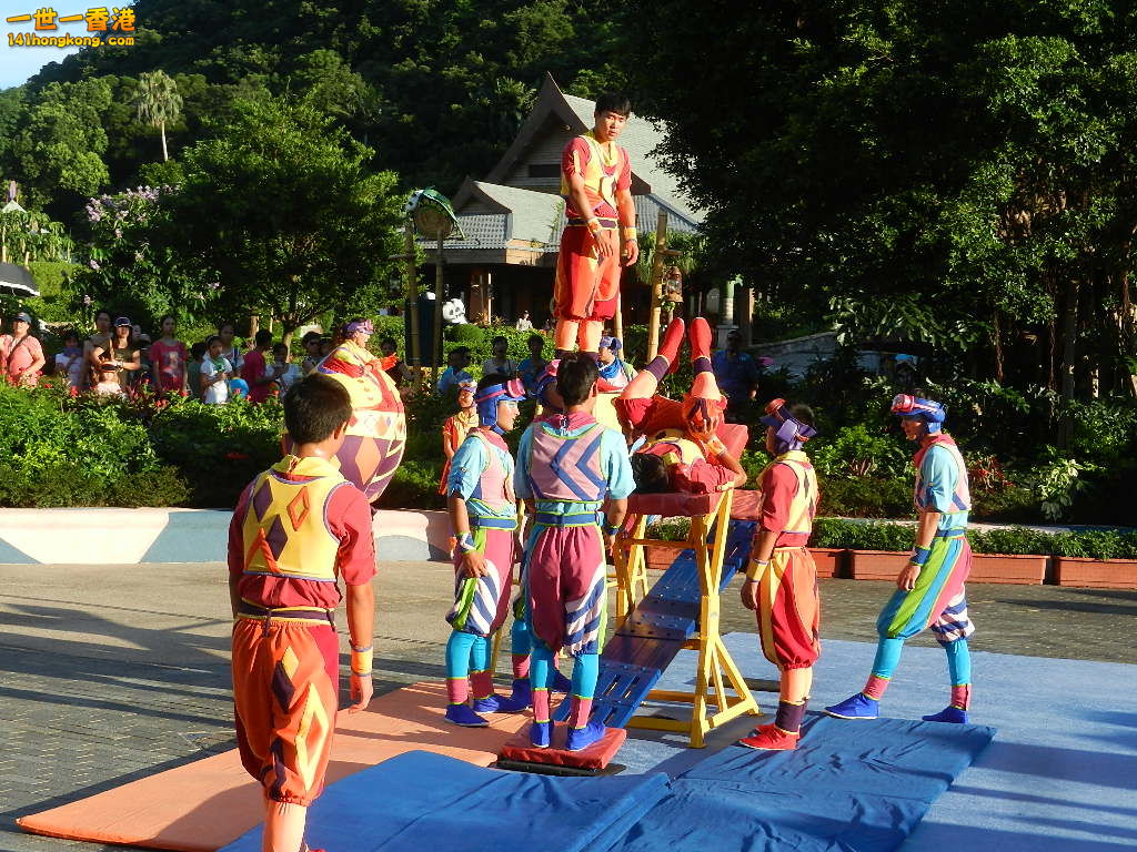 DSCN8675.JPG