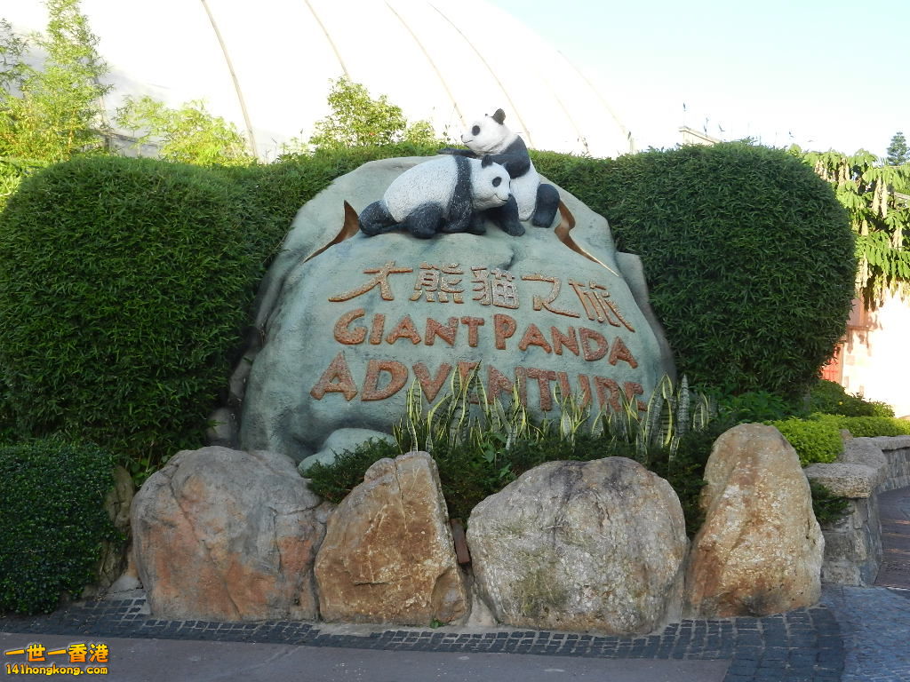 DSCN8684.JPG