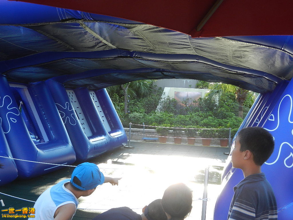 DSCN8650.JPG