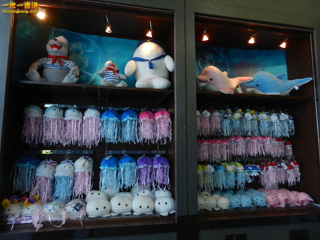 DSCN8610.JPG