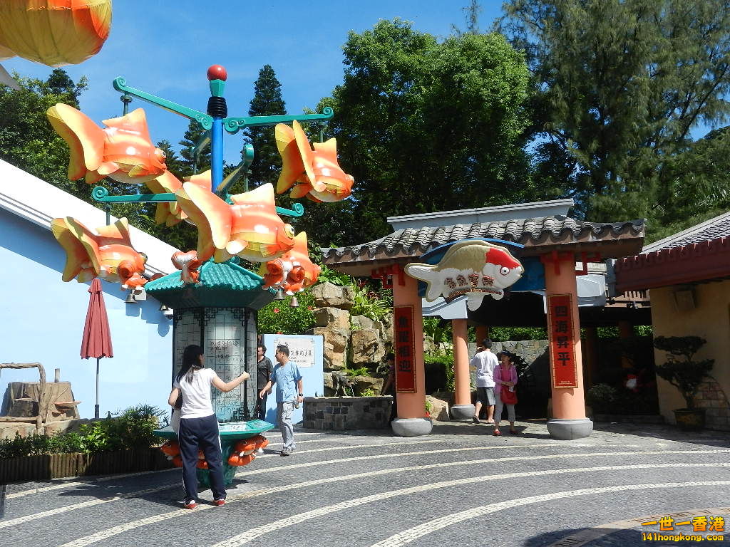 DSCN8568.JPG