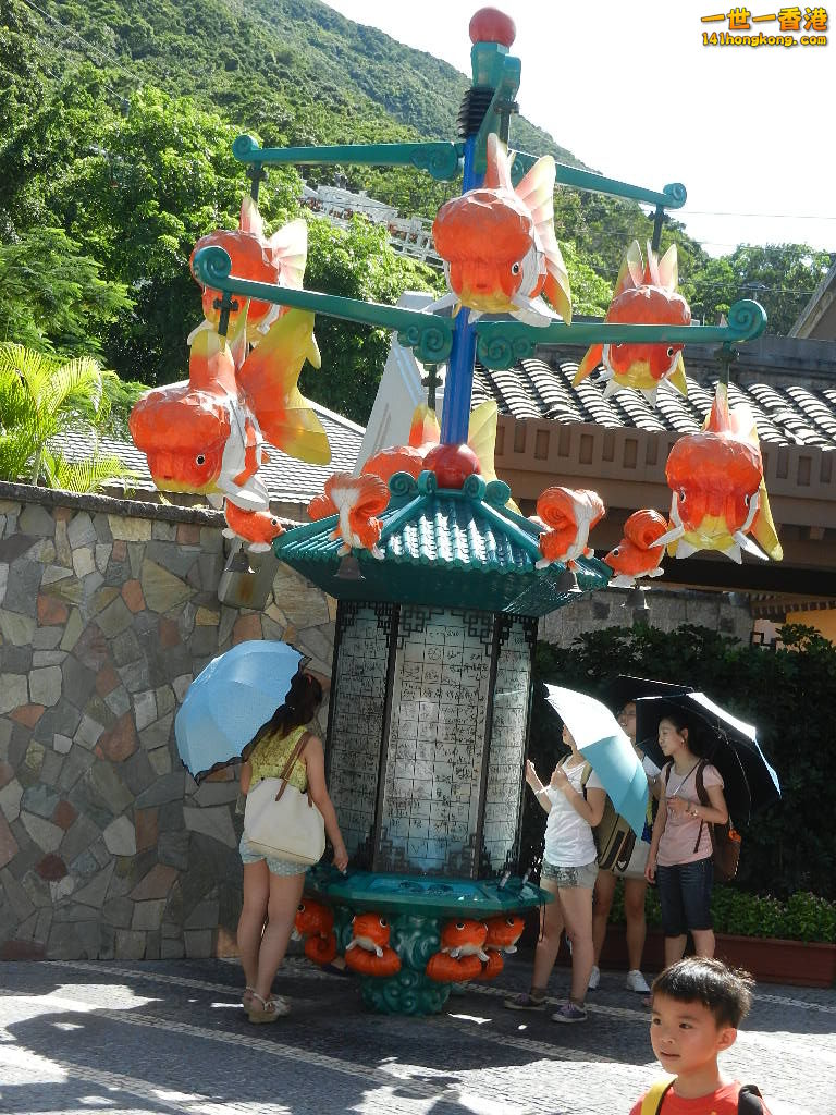 DSCN8570.JPG