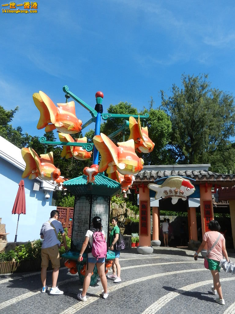 DSCN8571.JPG