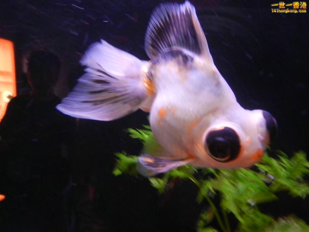 DSCN8573.JPG