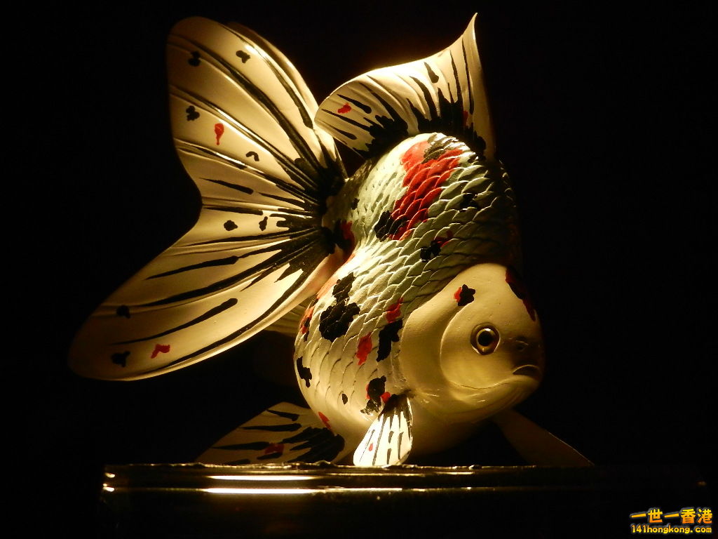 DSCN8577.JPG