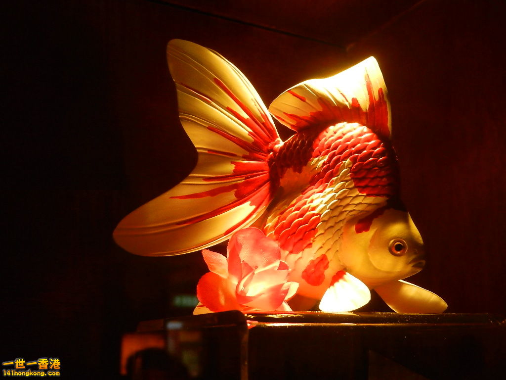 DSCN8578.JPG