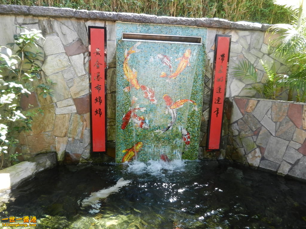 DSCN8585.JPG