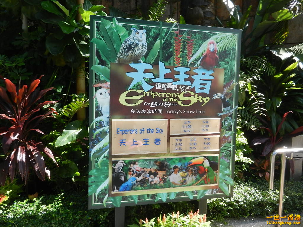 DSCN8587.JPG
