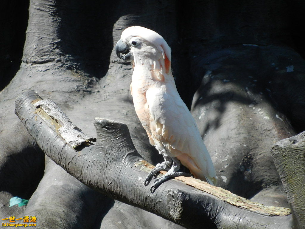 DSCN8591.JPG
