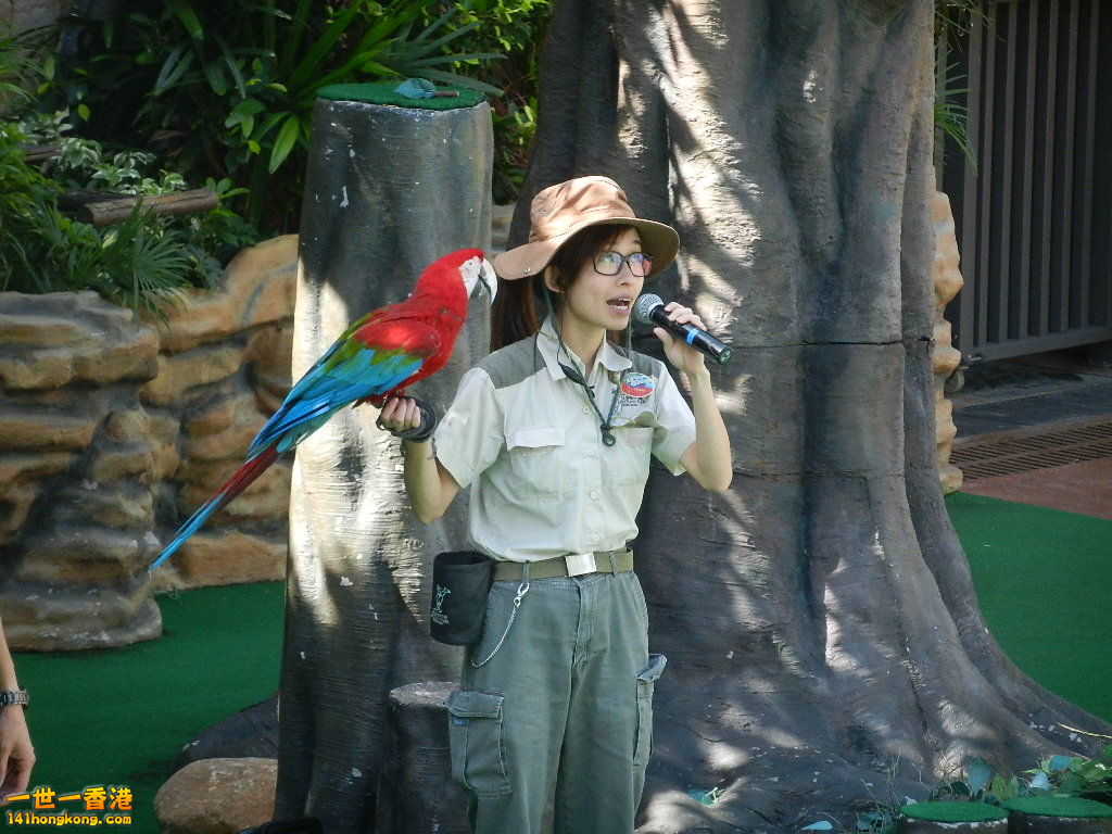 DSCN8597.JPG