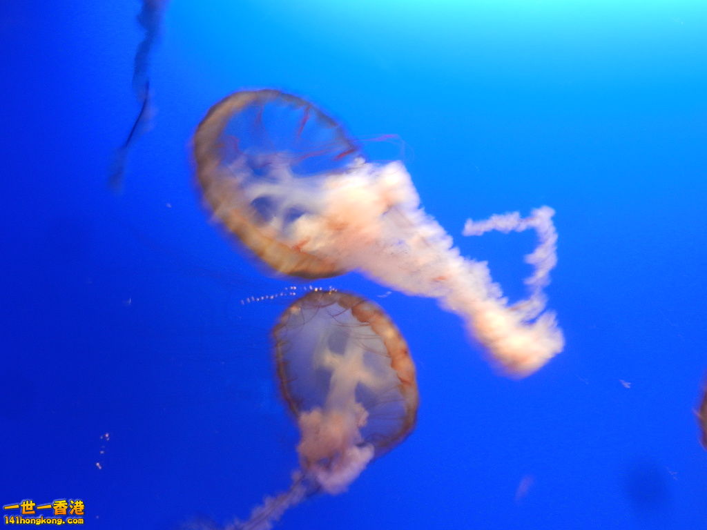 DSCN8600.JPG