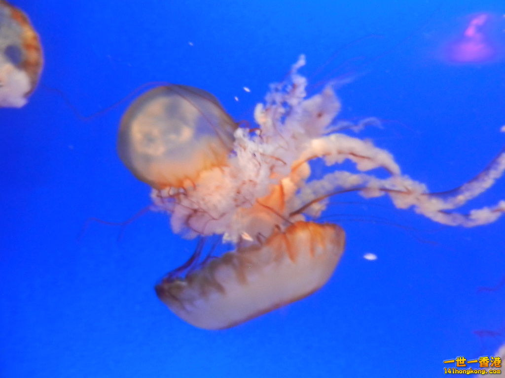 DSCN8602.JPG