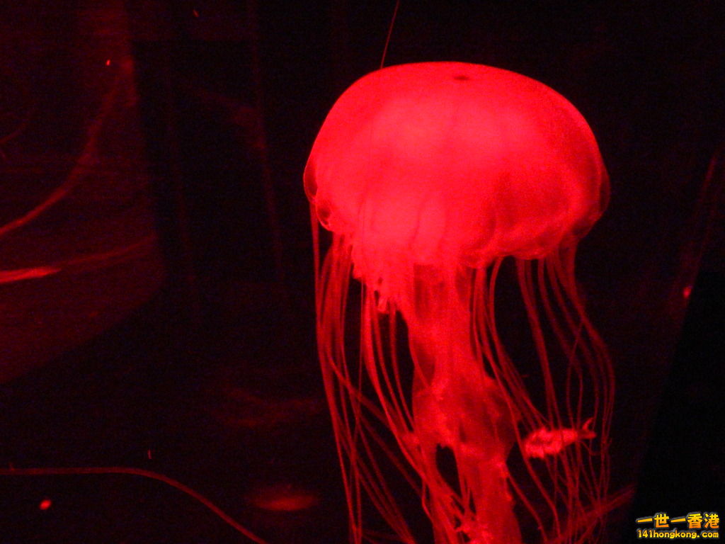 DSCN8607.JPG