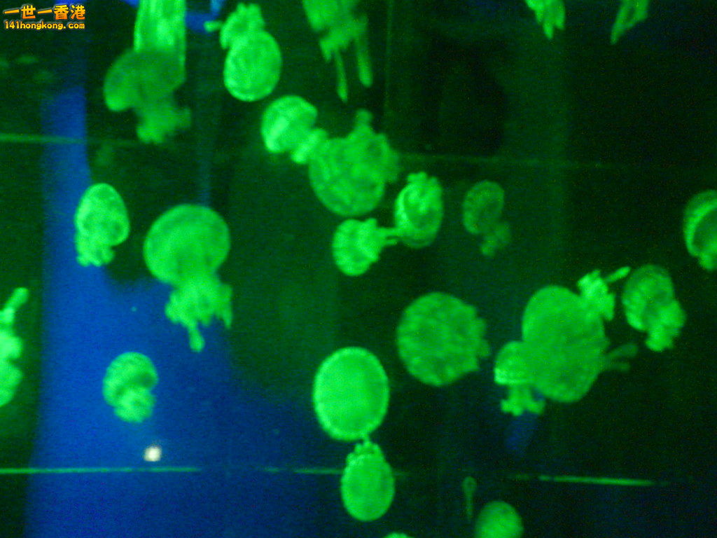 DSCN8608.JPG