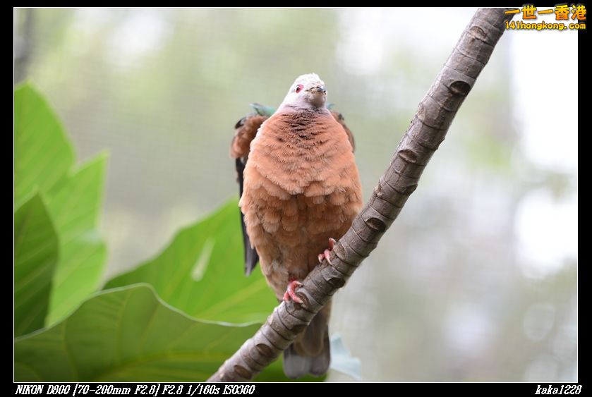 nEO_IMG_DSC_1134.jpg