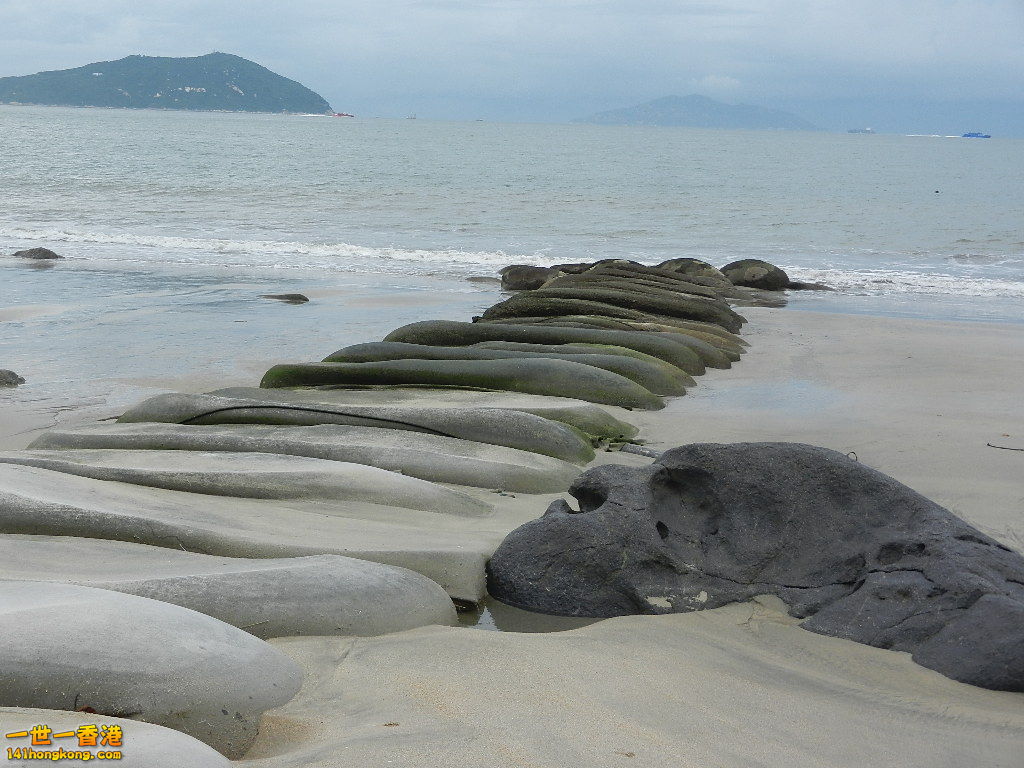 DSCN8528.JPG