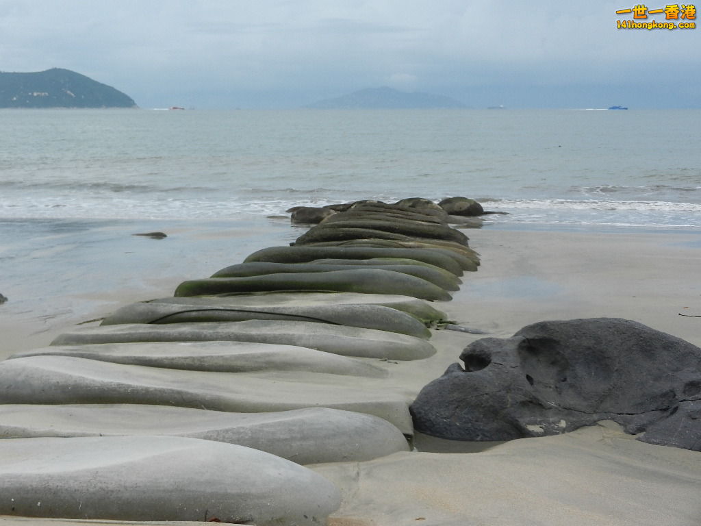 DSCN8529.JPG