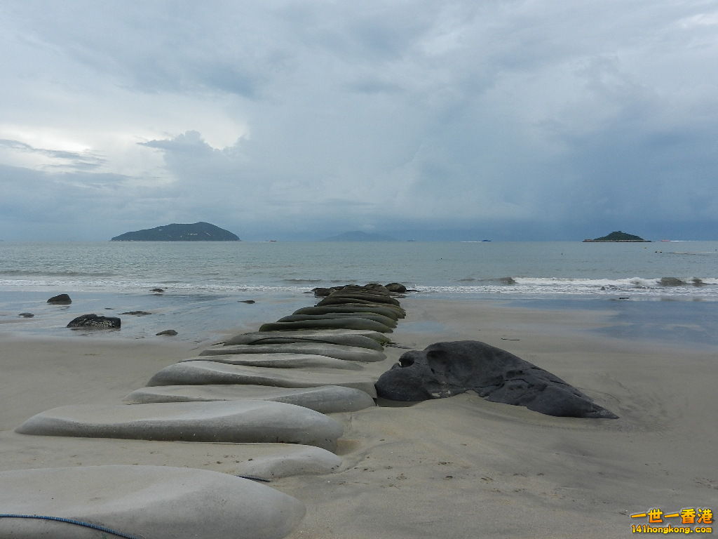 DSCN8530.JPG