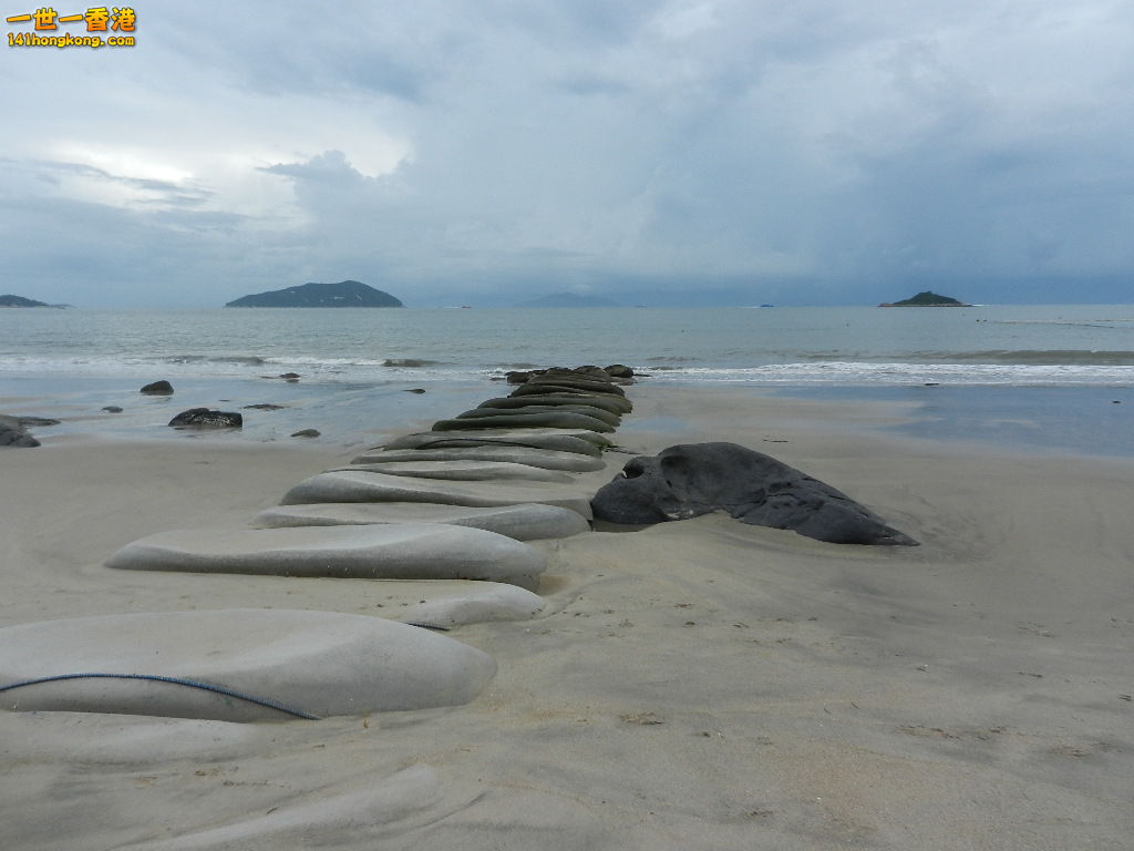 DSCN8531.JPG