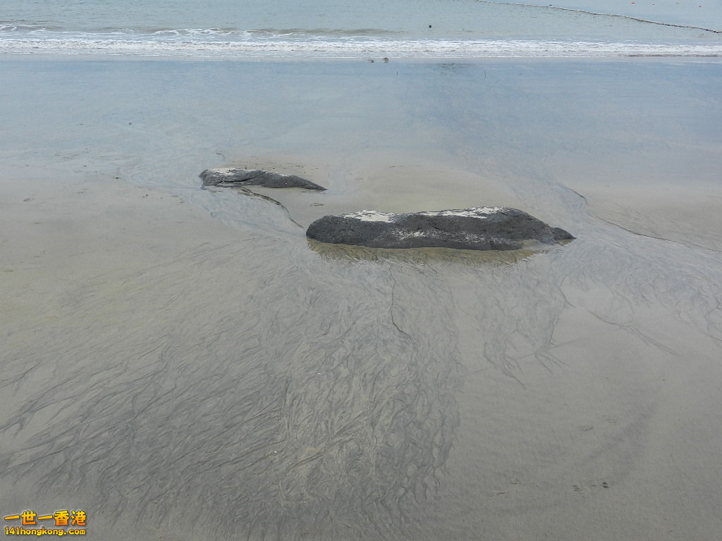 DSCN8533.JPG