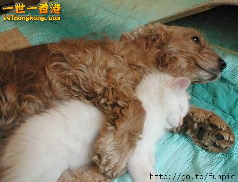 別 怕 ~ 還 有 我！ 4.jpg