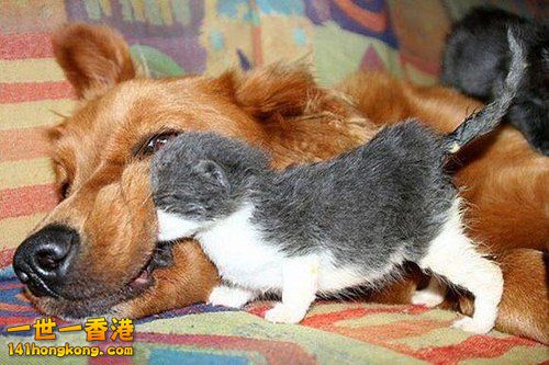 別 怕 ~ 還 有 我！ 5.jpg